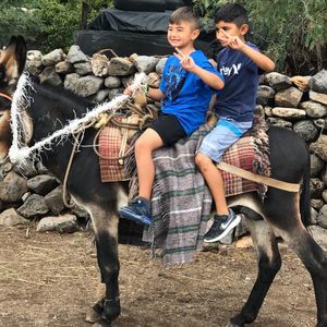 Meet your Posher, Armando